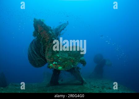 Propeller des HIJMS Nagato Schlachtschiff, Marshallinseln, Bikini-Atoll, Mikronesien, Pazifik Stockfoto