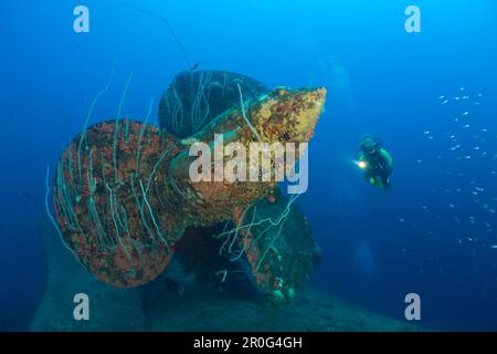 Taucher bei Propeller vom HIJMS Nagato Schlachtschiff, Marshallinseln, Bikini-Atoll, Mikronesien, Pazifik Stockfoto