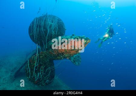 Taucher bei Propeller vom HIJMS Nagato Schlachtschiff, Marshallinseln, Bikini-Atoll, Mikronesien, Pazifik Stockfoto