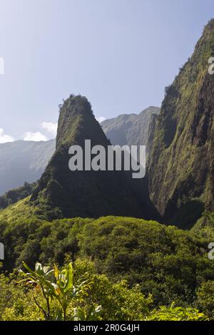 IAO Needle im Kepaniwai County Park, IAO Valley, Maui, Hawaii, USA Stockfoto