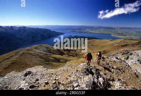 Zwei Trekker klettern auf den Mount Luxmoore in den Kepler Mountains, Blick auf Lake Te Anau, Fiordland National Park, South Island, Neuseeland, Ozeanien Stockfoto