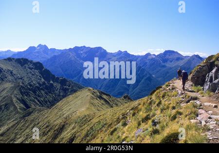 Wanderungen auf dem Kepler Track unter blauem Himmel, Blick auf Kepler Mountains, Fiordland National Park, South Island, Neuseeland, Ozeanien Stockfoto