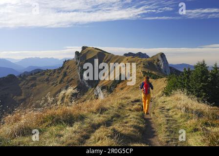 Frau wandert nach Brauneck, Bayerische Ausläufer, Bayern, Deutschland Stockfoto