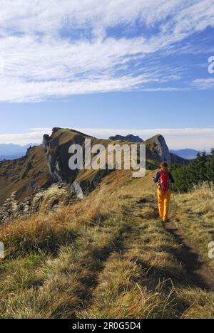 Frau wandert nach Brauneck, Bayerische Ausläufer, Bayern, Deutschland Stockfoto