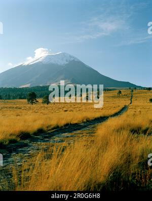 Blick auf den aktiven Vulkan Popocatepetl auf den Horizont, Izta Popo Zoquiapan Nationalpark, Mexiko Provinz, Mexiko, Amerika Stockfoto