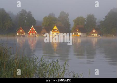 Ferienhäuser am Mirow-See im frühen Morgennebel, Mecklenburg-Seengebiet, Mecklenburg-Vorpommern, Deutschland Stockfoto