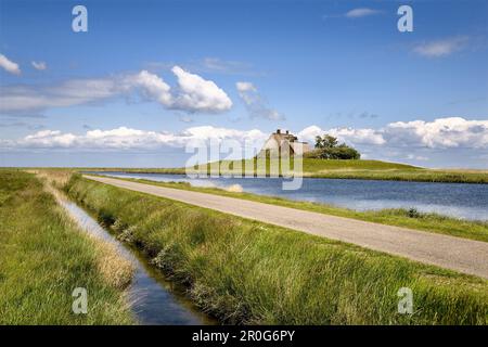 Kirche auf dem Wohnhügel, Hooge hallig, Nordfriesische Inseln, Schleswig-Holstein, Deutschland Stockfoto