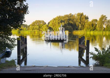 Autofähre über den Fluss Havel, Ketzin, Brandenburg, Deutschland Stockfoto