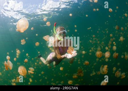 Schnorcheln in Jellyfish Lake, Mastigias papua etpisonii, Jellyfish Lake, Mikronesien, Palau Stockfoto