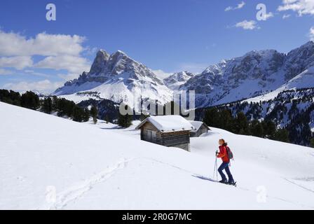 Skifahrer im Hinterland, schneebedeckte Berglodge im Hintergrund, Grosser Gabler, Eisacktal, Dolomiten, Trentino-Südtirol, Italien Stockfoto