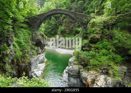 Stein-Bogen Brücke Ponte Romano über Fluss Melezza, Intragna, Centovalli, Lago Maggiore, Lago Maggiore, Tessin, Schweiz Stockfoto