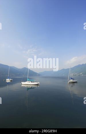 Drei Segelboote vor Anker am Lago Maggiore, Ascona, Lago Maggiore, Ticino, Die Schweiz Stockfoto