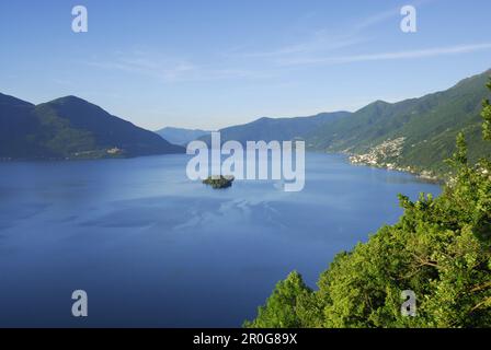 Lago Maggiore mit Insel Brissago, Isole di Brissago, Ronco Sopra Ascona, Lago Maggiore, Lago Maggiore, Tessin, Schweiz Stockfoto