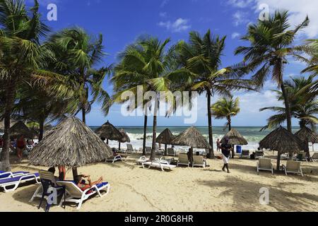 Palmen gesäumten Strand, Playa Puerto La Cruz, Nueva Esparta, Venezuela Stockfoto