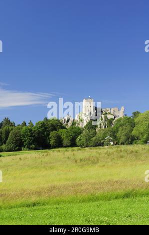 Burg Ruine Weißenstein, Regen, Bayerischer Wald, untere Bayern, Bayern, Deutschland Stockfoto