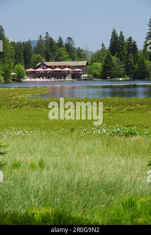 Großer Arbersee mit Restaurant, Bayerischer Wald Nationalpark, Niederbayern, Bayern, Deutschland Stockfoto