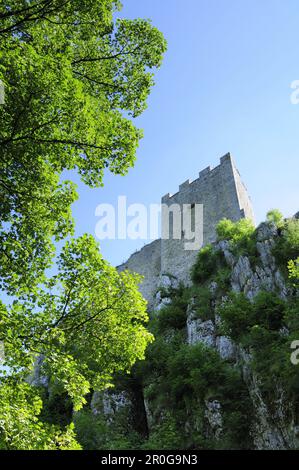 Burg Ruine Weißenstein, Regen, Bayerischer Wald, untere Bayern, Bayern, Deutschland Stockfoto