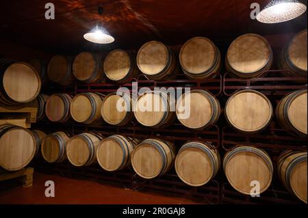 Herstellung von angereicherten jerez-, Xeres- und Sherry-Weinen in französischen Eichenfässern im Sherry-Dreieck, Jerez la Frontera, El Puerto Santa Maria und Sanlucar Bar Stockfoto