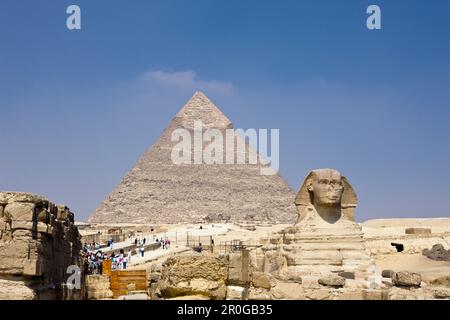 Große Sphinx von Gizeh gegen die Pyramide von Chafra, Ägypten, Kairo Stockfoto