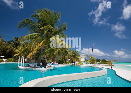 Pool von Maldive Island Kandooma, Malediven, South Male Atoll Stockfoto