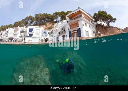 Tauchen in Tamariu, Tamariu, Costa Brava, Mittelmeer, Spanien Stockfoto