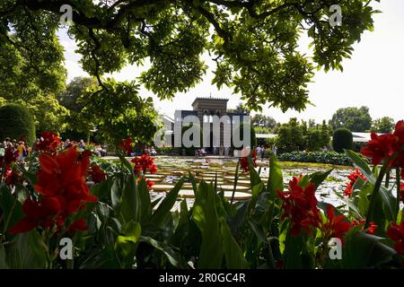 Zoologischer und botanischer Garten Wilhelma, der maurische Garten mit den größten Seerosen der Welt, Stuttgart, Baden-Württemberg, Deutschland, Europa Stockfoto