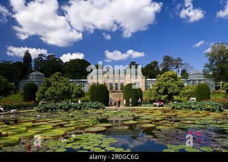 Zoologischer und botanischer Garten Wilhelma, der maurische Garten mit den größten Seerosen der Welt, Stuttgart, Baden-Württemberg, Deutschland, Europa Stockfoto