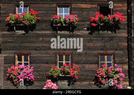 Bauernhof mit Blumenkästen, Vinschgau, Österreich, Südtirol, Italien Stockfoto