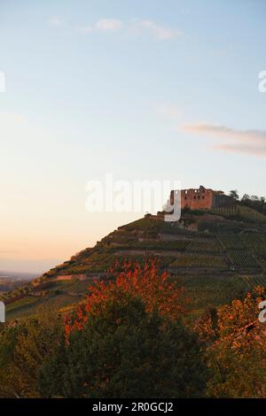 Schloss Staufen im Abendlicht, Staufen im Breisgau, Baden-Wurttemberg, Deutschland Stockfoto