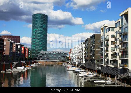Westlicher Hafen mit Westhafen-Turm, wie ein typisches Apfelglas, Frankfurt am Main, Hessen, Deutschland Stockfoto