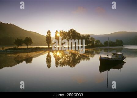 Boot auf dem Rhein im Morgenlicht, Osterspai bei Boppard, Rheinland-Pfalz, Deutschland Stockfoto