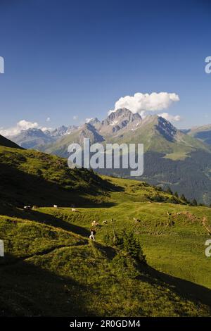 Frau, die über die Alpen Nassegl, Savognin, Kanton Grison, Schweiz wandert Stockfoto