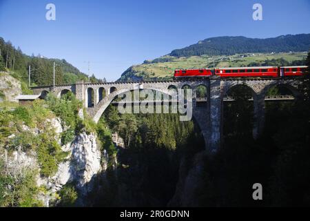 Zug vorbei am Solis Viadukt, Schin-Schlucht, Kanton Grisons, Schweiz Stockfoto