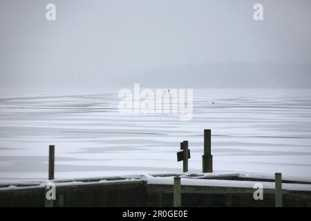 Wannsee, Berlin, Deutschland Stockfoto