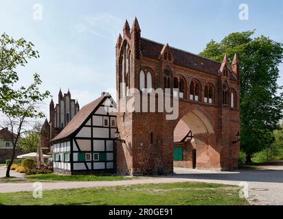 Stadttor Friedland in Neubrandenburg, Mecklenburg-Seengebiet, Mecklenburg-Vorpommern, Deutschland Stockfoto