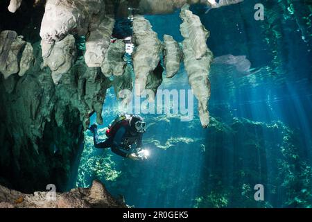 Taucher in Gran Cenote, Tulum, Halbinsel Yucatan, Mexiko Stockfoto