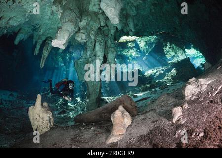 Taucher in Gran Cenote, Tulum, Halbinsel Yucatan, Mexiko Stockfoto