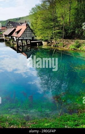 Blautopf, Frühling und Quelle des Flusses Blau, Blaubeuren, Alb-Donau-Kreis, Bayern, Deutschland Stockfoto