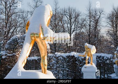 Schneebedeckte goldene Statuen, Heckentheater, Herrenhausen Gärten, Hannover, Niedersachsen, Deutschland Stockfoto