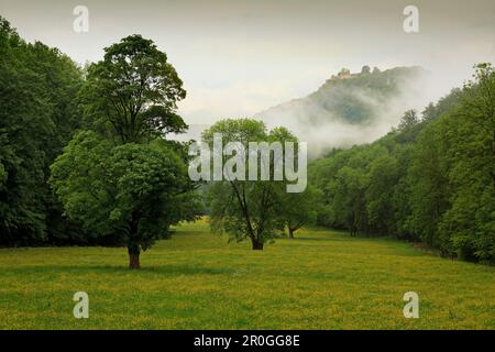 Blick auf das Schloss Hohenurach im Nebel, in der Nähe von Bad Urach, Schwäbische Alb, Baden-Württemberg, Deutschland Stockfoto