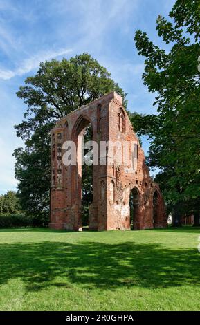 Ruinen der Abtei Eldena, Greifswald, Mecklenburg-Vorpommern, Deutschland Stockfoto