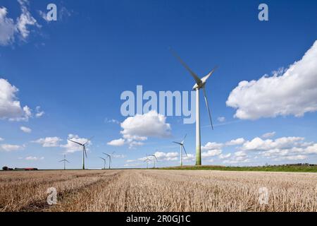 Windkraftanlagen, Dithmarschen, Schleswig-Holstein, Deutschland Stockfoto