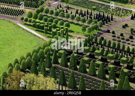 Luftaufnahme eines Baumgartens mit geometrisch beschnittenen Bäumen, leer, Niedersachsen, Deutschland Stockfoto
