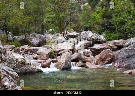 Bunte Felsen im klaren Bach in die Spelunca-Schlucht, in der Nähe von das Dorf Ota, Korsika, Frankreich, Europa Stockfoto