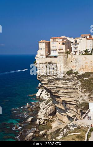 Steile Küste, Bonifacio, Korsika, Frankreich Stockfoto