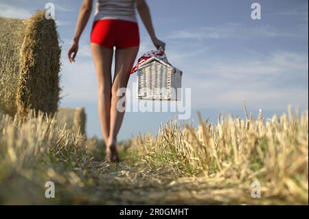 Junge Frau mit Picknickkorb, die durch stubblefield geht Stockfoto