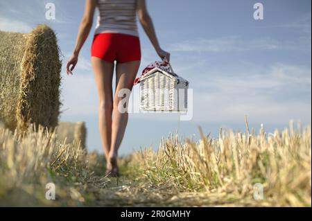 Junge Frau mit Picknickkorb, die durch stubblefield, Oberbayern, Deutschland, spaziert Stockfoto