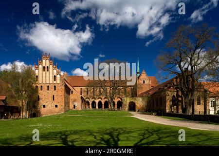 Chorin Kloster unter WolkenHimmel, zisterzienserkloster, Chorin, Uckermark, Brandenburg, Deutschland, Europa Stockfoto