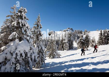 Skifahrer im Bergwald am Berg großer Arber, Bayerischer Wald, Bayerisch Eisenstein, Bayern, Deutschland, Europa Stockfoto