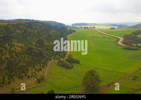 Kalvarienberg mit Wacholder, Alendorf, Eifel, Nordrhein-Westfalen, Deutschland, Europa Stockfoto